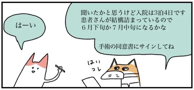 乳がん手術の直前。医師の説明で恐怖が押し寄せる...⁉／アラサー会社員の乳がんの備忘録 arasa8_5.jpeg