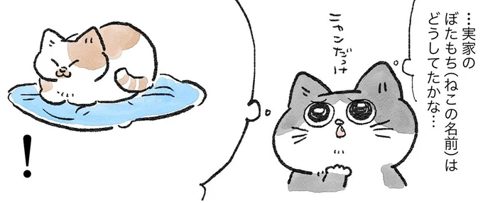 猫の座り方、楽なのはどれだろう。悩んだすえ、ねこおじがたどり着いたのは／ねこに転生したおじさん1