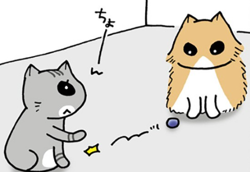 ボールをちょーん。猫同士で遊び始めるのかな...と思ったら、えっ？／うちの3ねこ