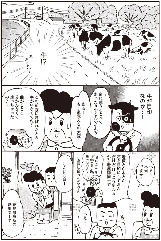 牛を右に曲がる...って!? 研修医が見学した離島の驚くことばかりの訪問看護／離島で研修医やってきました 14016204.webp