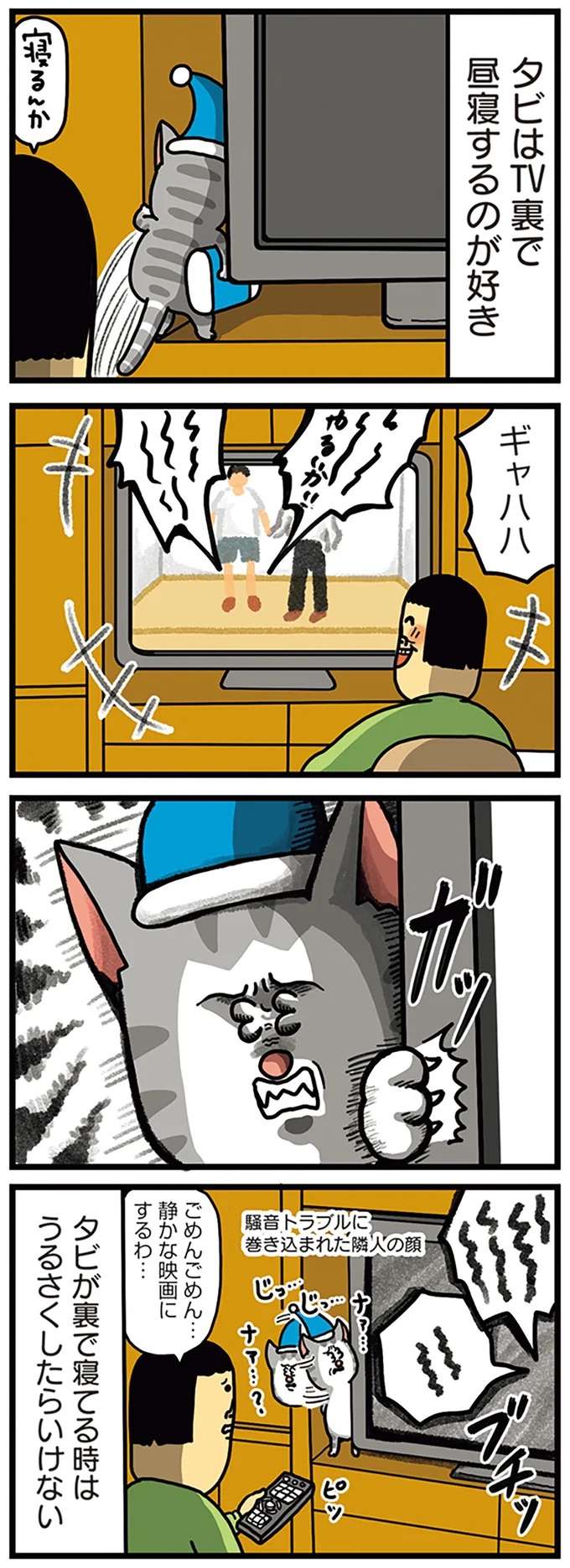 ガッ！ 猫が激怒する「騒音トラブル」。悪いのはこっちなの...？／まめきちまめこニートの日常 こまちとタビ5 mame7_1.jpeg