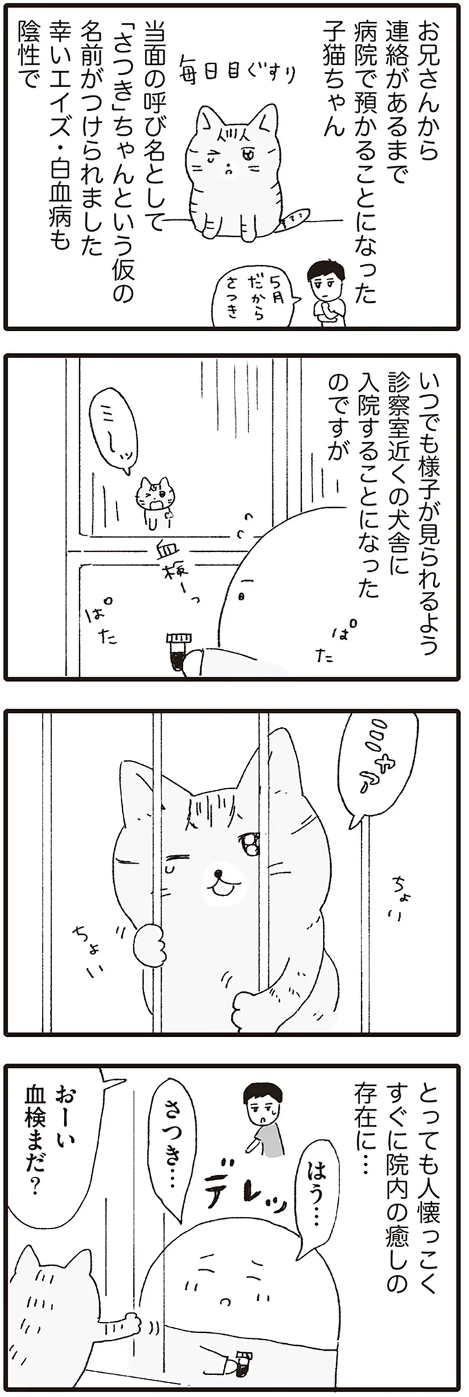 『いぬねこ動物病院日記』 06-03.png