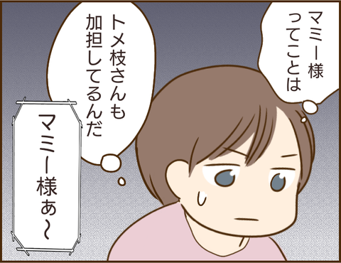 「松ぼっくりで美しく!?」義姉の配信がぶっ飛び過ぎ「お前かいっ！」／家族を乗っ取る義姉と戦った話 12.png