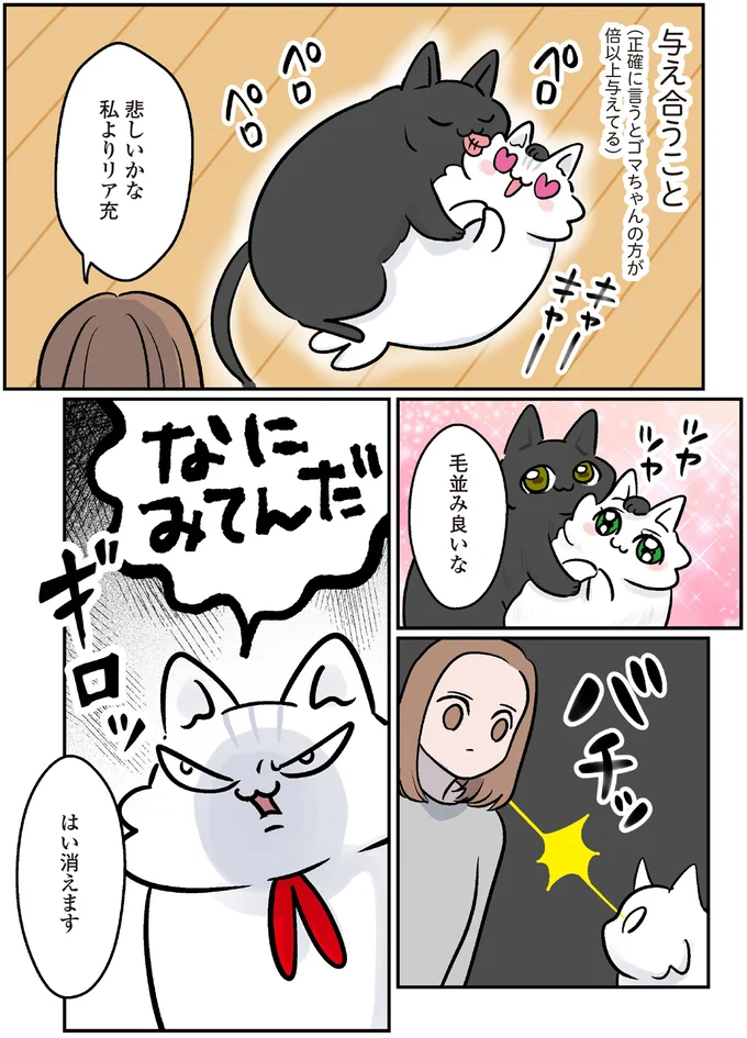 『マジレス幼児とモンペ猫 口達者な娘と過保護すぎる猫たちとの日常』 42.webp