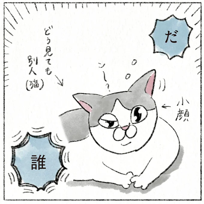 だ、誰？ 愛猫の顔が夜と顔が違いすぎ！ 時間が経つにつれガラが悪い顔になり...／うちの猫は今日も塩対応