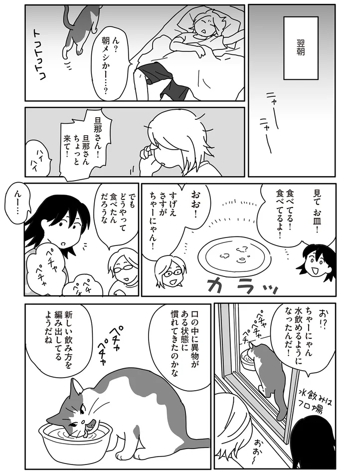 『世界一幸せな飼い主にしてくれた猫』 15-03.png