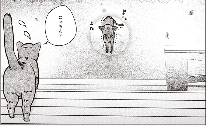 ずっと1人で頑張ってたのか? ボロボロの子猫との再会/スローステップ朔太郎 上