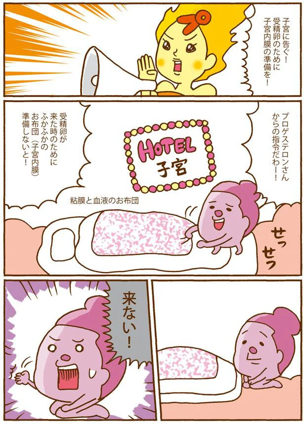 分かっていなくてこの有様...女性の体やホルモンのこと、もっと学ぼう！／死んでも女性ホルモン減らさない! 02-08.png