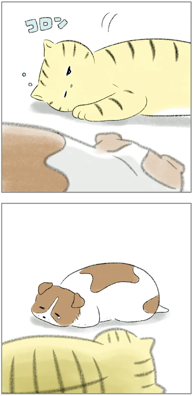 『ターとアグのしあわせ日和 元ノラ猫と元保護犬、ふたりは親友』 08-10.png