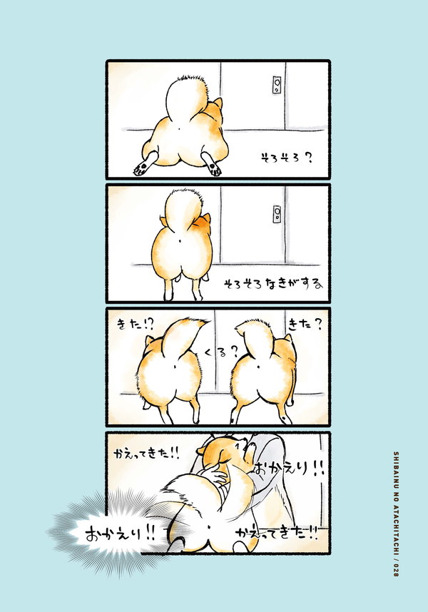 おはよ から おかえり もふる あそぶ なでれ しばいぬのあたちたち 3 毎日が発見ネット Goo ニュース