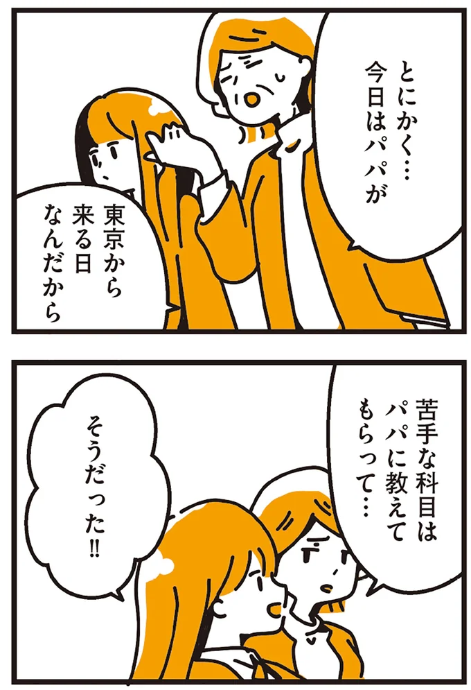 『不倫の子だなんて知りたくなかった』 29.webp