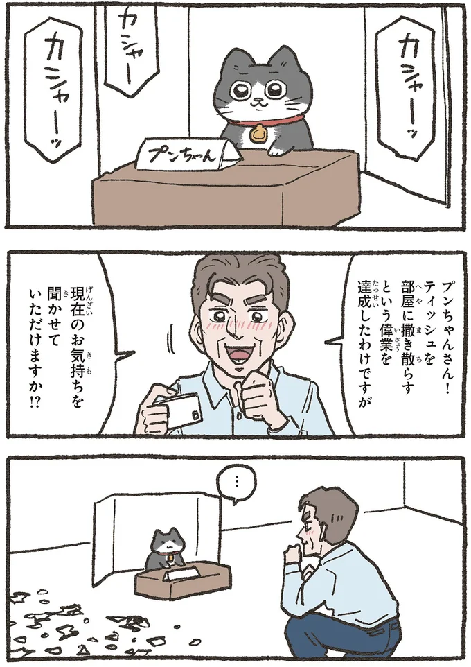 『ねこに転生したおじさん 5』 5nekonitensei1_5.webp
