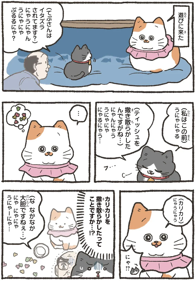 イタズラ談義でねこ友にドヤ顔するはずが...一枚も二枚の上手の相手に驚愕⁉／ねこに転生したおじさん5 5nekonitensei2_1.webp