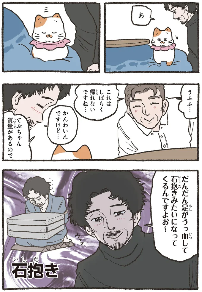 『ねこに転生したおじさん 5』 5nekonitensei3_2.webp