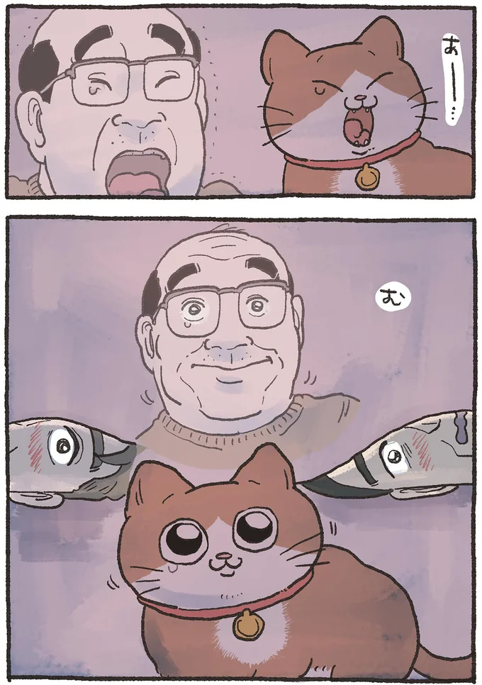 こたつで「あわよくば」を狙う人たち。ねこおじはどっちを選ぶ？／ねこに転生したおじさん5 5nekonitensei4_4.webp