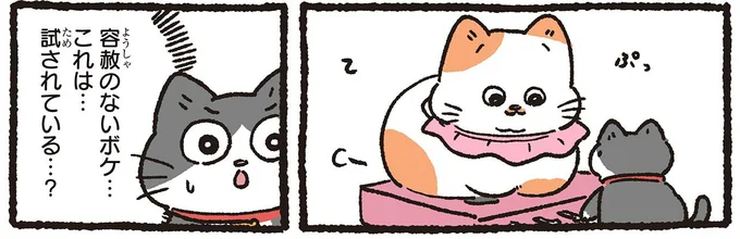 お隣のねこ友ともぐらたたき。身も蓋もない行動に「試されている⁉」／ねこに転生したおじさん5