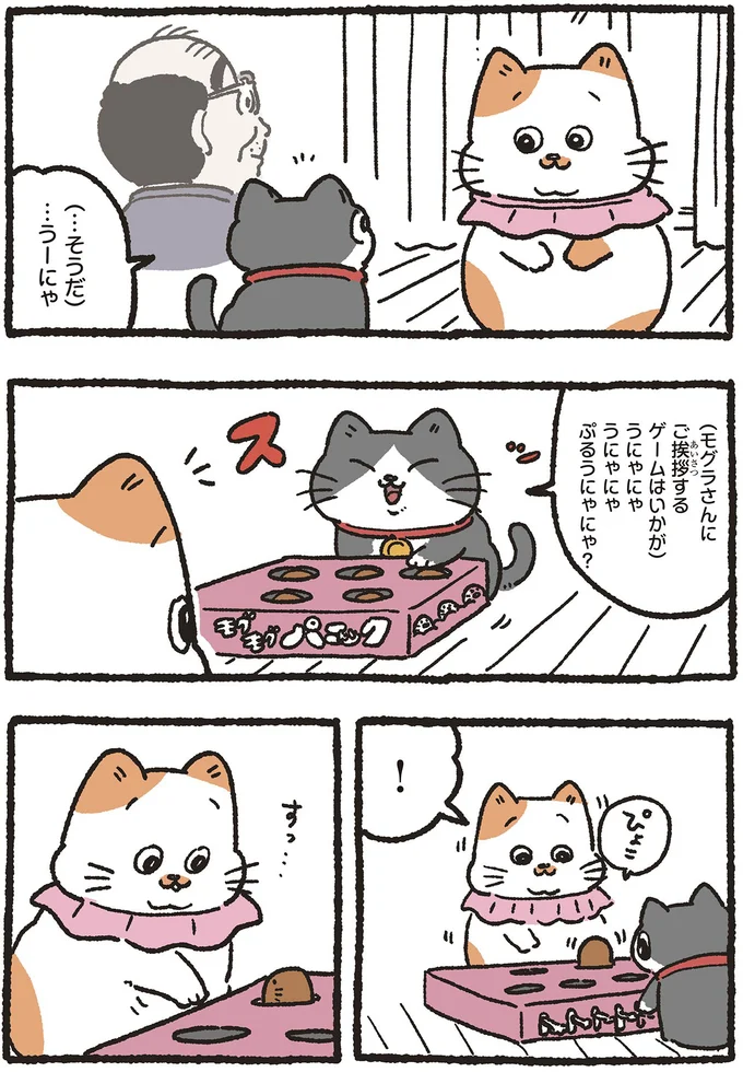 お隣のねこ友ともぐらたたき。身も蓋もない行動に「試されている⁉」／ねこに転生したおじさん5 5nekonitensei7_1.webp
