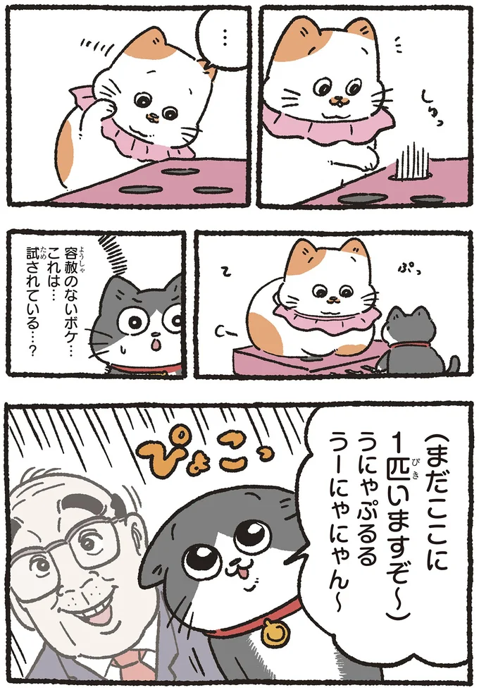 お隣のねこ友ともぐらたたき。身も蓋もない行動に「試されている⁉」／ねこに転生したおじさん5 5nekonitensei7_2.webp