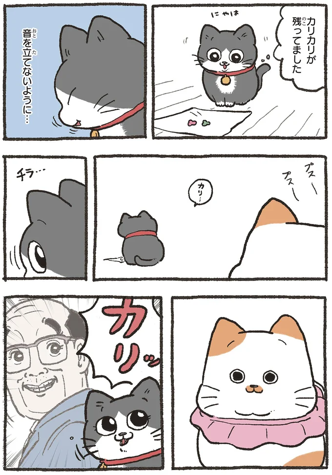 『ねこに転生したおじさん 5』 5nekonitensei8_2.webp