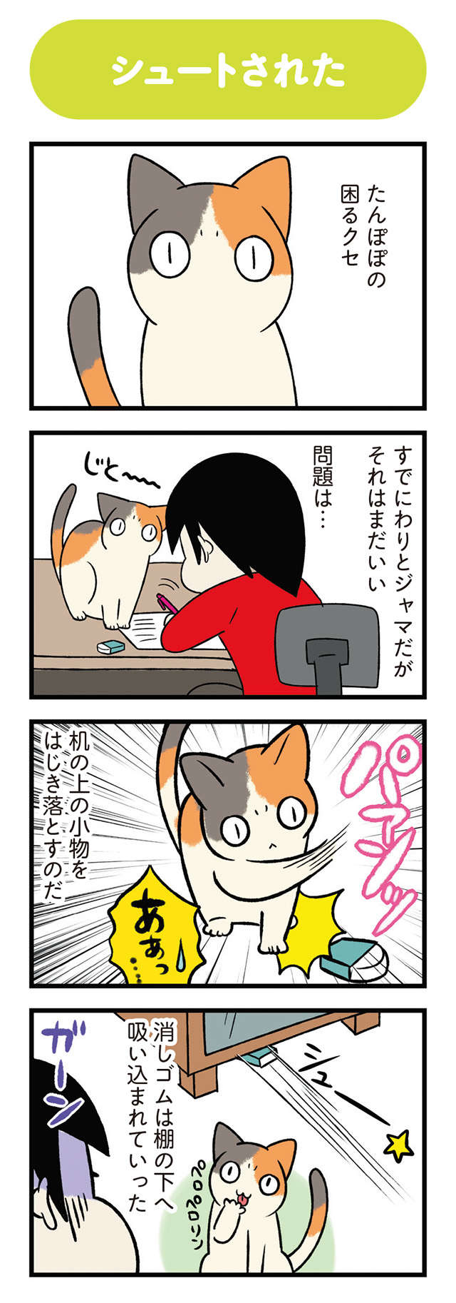 愛猫が机の上の小物をすべてはじき落とす。その困ったクセはなんのため...？／うちう猫と柴犬 13.jpg
