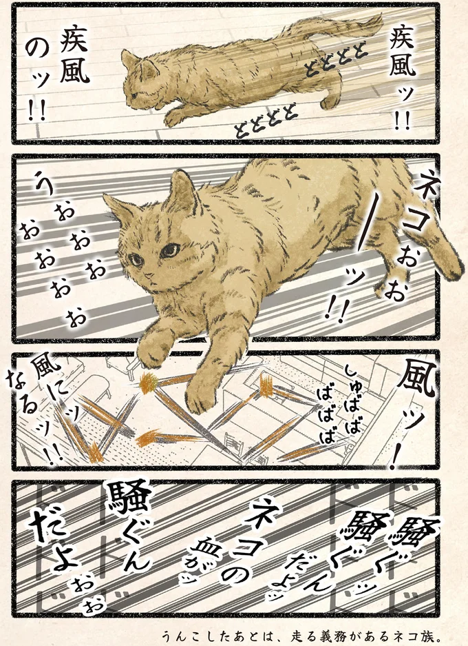 『今日もネコ様の圧が強い2』 81.webp