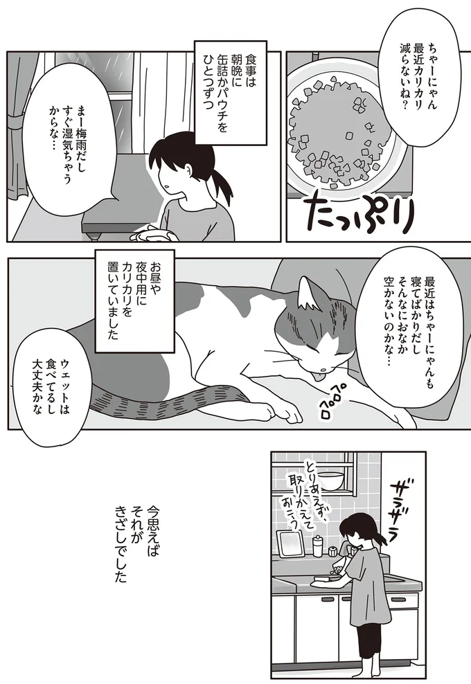 『世界一幸せな飼い主にしてくれた猫』 04-02.png