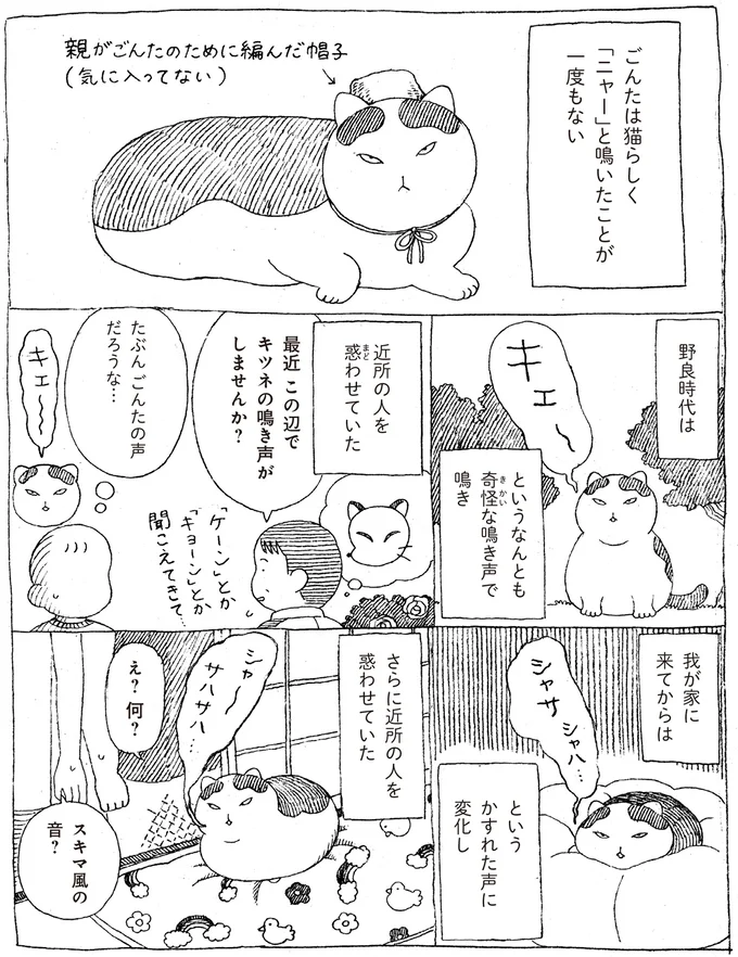 「ニャー」と鳴いたことがない愛猫。飼い主の心配を機に声変わりした結果...え!?／野良猫ごんた、家猫になる 16108704.webp