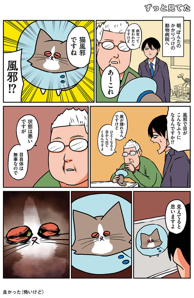 「思ったよりひどい」保護した子猫を病院へ。怪我ではないとのことだが...／鴻池剛と猫のぽんた ニャアアアン! 2 11.jpg