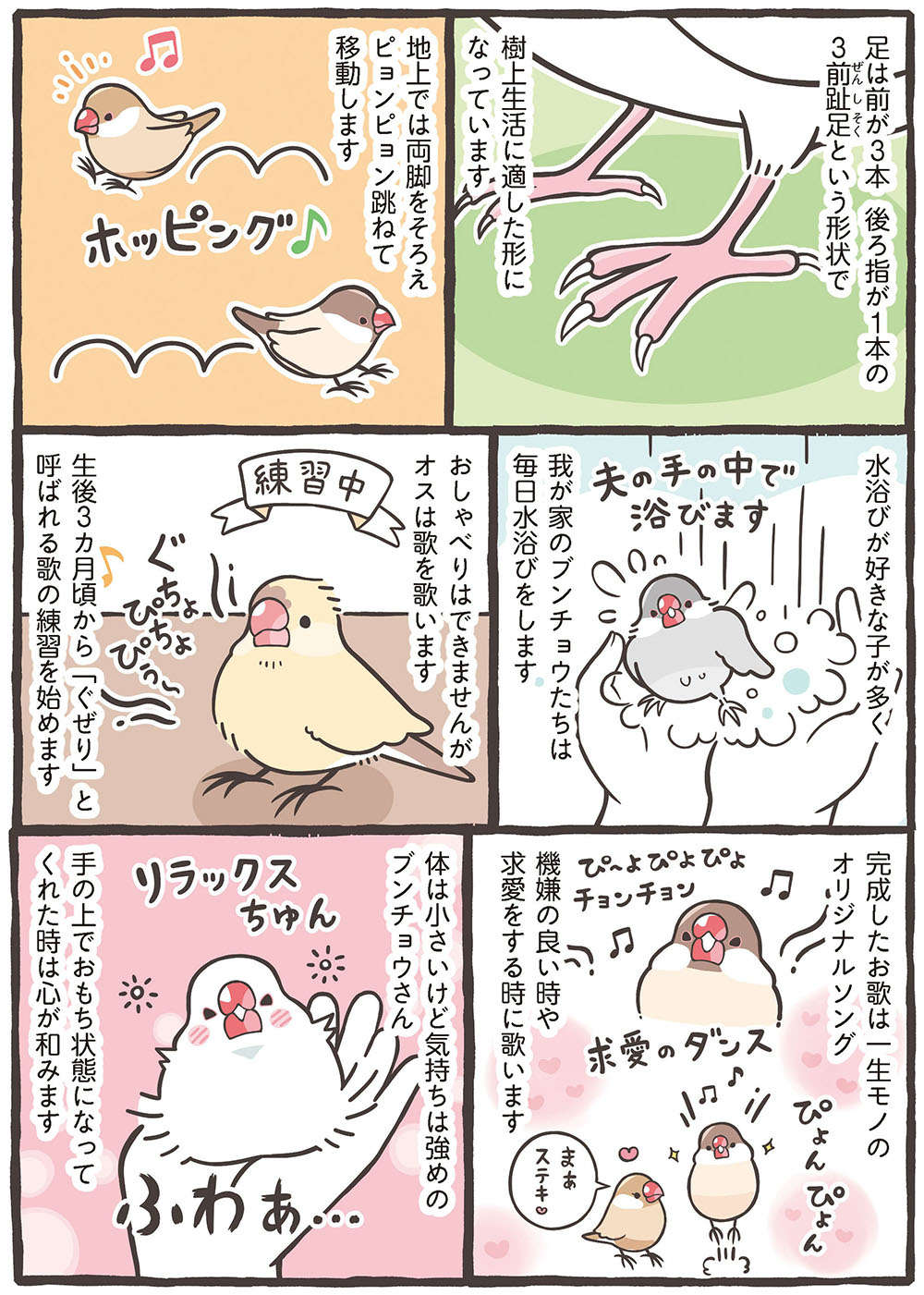 ブンチョウとセキセイインコの違い。歌を歌うのは？ 独特の香りを放つのはどっち？／トリ扱い説明書 繝医Μ謇ｱ縺・ｪｬ譏取嶌_繝槭Φ繧ｫ繧咏判蜒・繝医Μ謇ｱ縺・ｪｬ譏取嶌_063.jpg