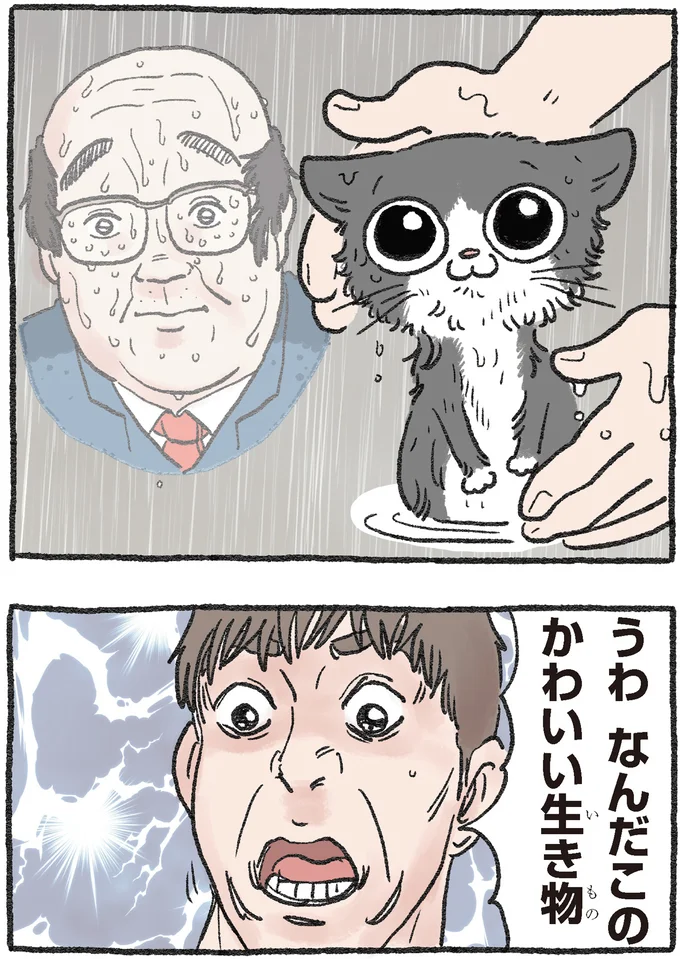 『ねこに転生したおじさん1〜3』 82.webp