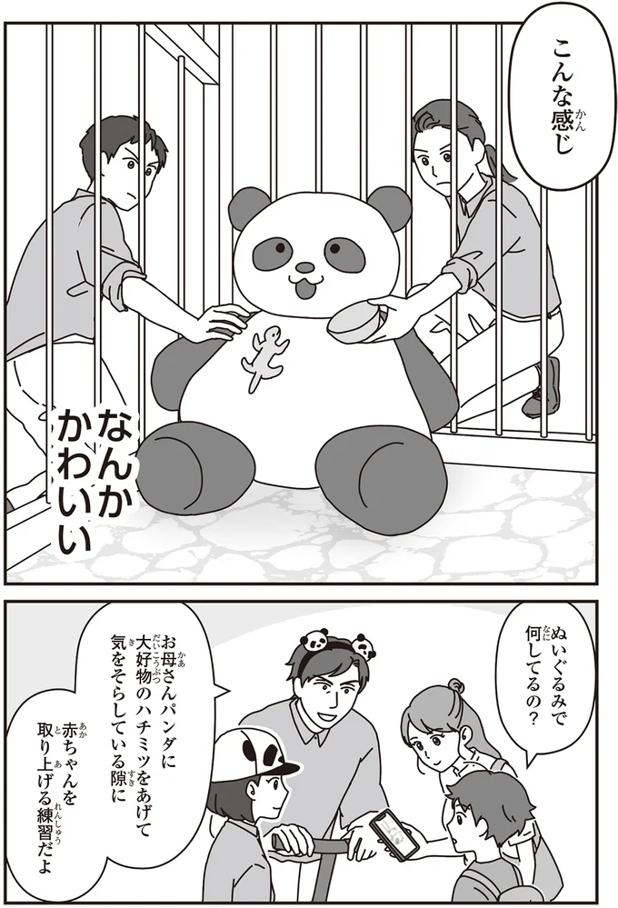 出産前に繰り返し練習...これもパンダの赤ちゃんを守るため！／パンダのミライ 07-04.png