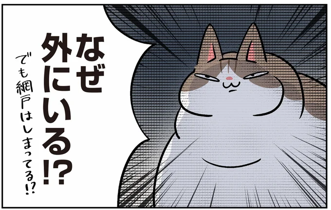 網戸を破り「どやぁ」ベランダ好きなモンペ猫の暴挙/マジレス幼児とモンペ猫