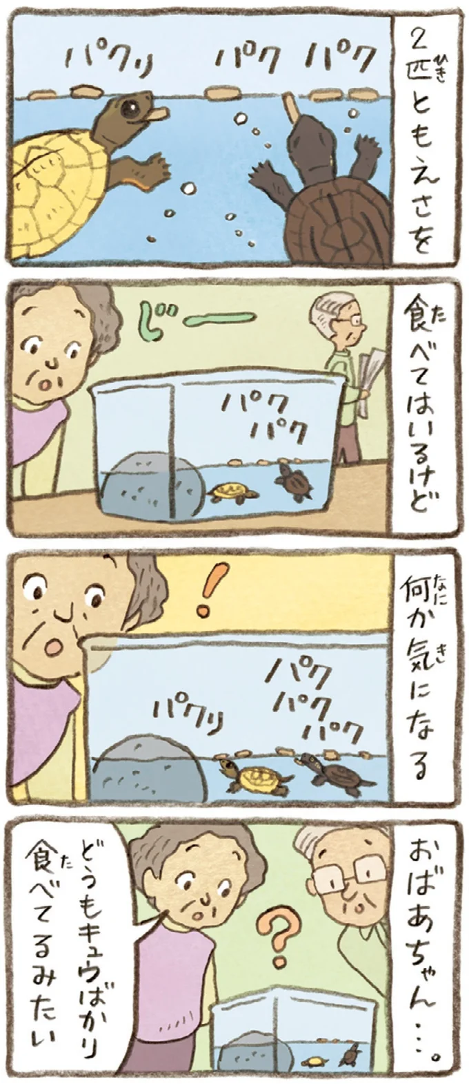 おばあちゃんとかめ 何げに楽しい2匹とのくらし 07-03.webp