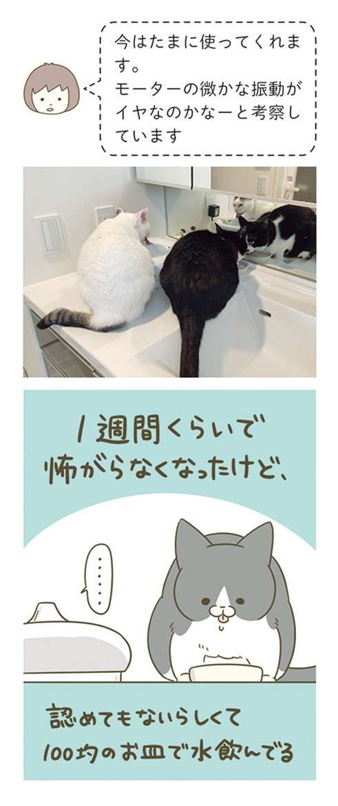 愛猫は新しい水飲み器が気にいらない。不満いっぱいの「この表情」／うちの猫がまた変なことしてる。7 12.jpg