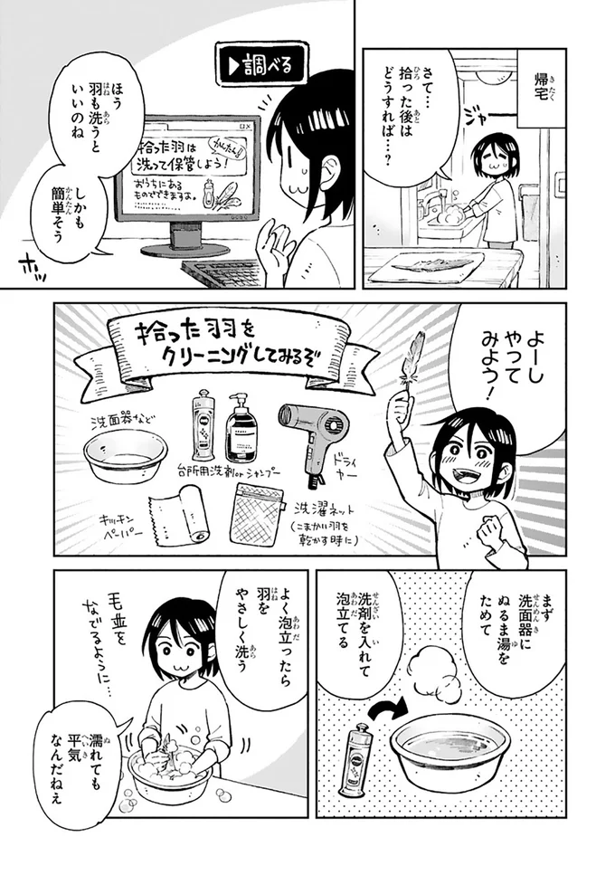 まいにち鳥びより 3-3.png