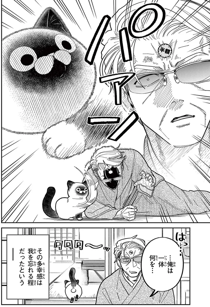 野良猫が戦闘モードに！ 猫の額についたシールをはがすために悪戦苦闘／オヤジとにゃん吉 16215709.webp