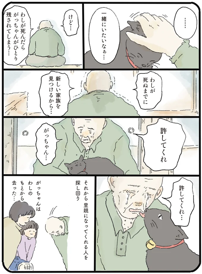 猫だけは幸せになってほしい。余命宣告を受けたおじいさんが「涙した理由」／泣きたい夜の甘味処 14615548.webp