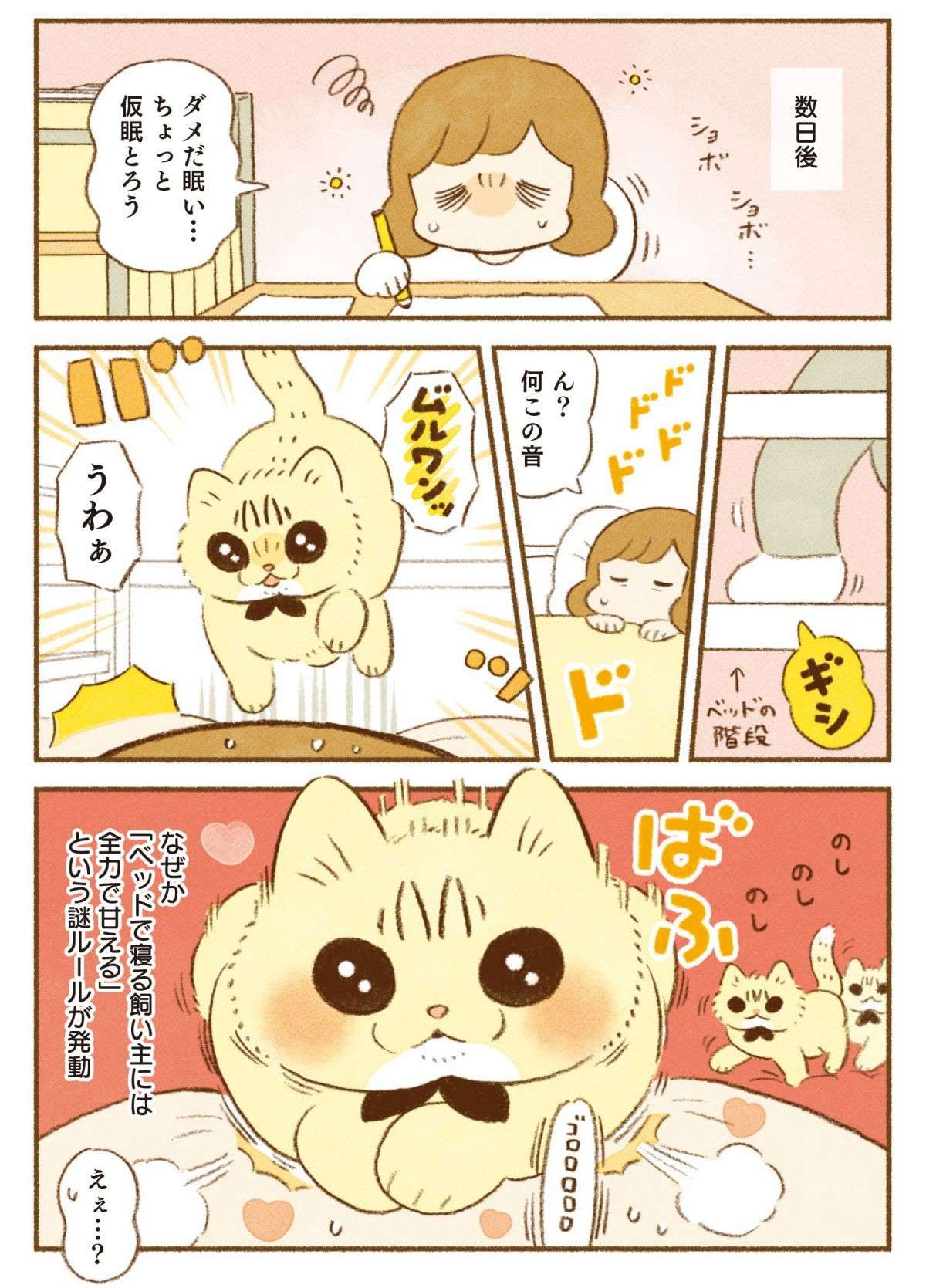 「普段はドライ、でもベッドでは豹変」何が彼女（猫）をそうさせるのか／しまねこ3姉妹と暮らしています 11.jpg