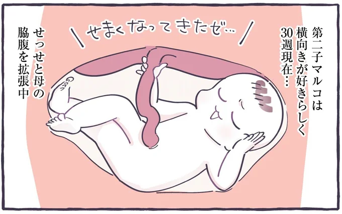 妊娠後期、予定通りに大きくなったお腹の「横側が痛い理由」は...ヴッ／るしこの子育て日記4
