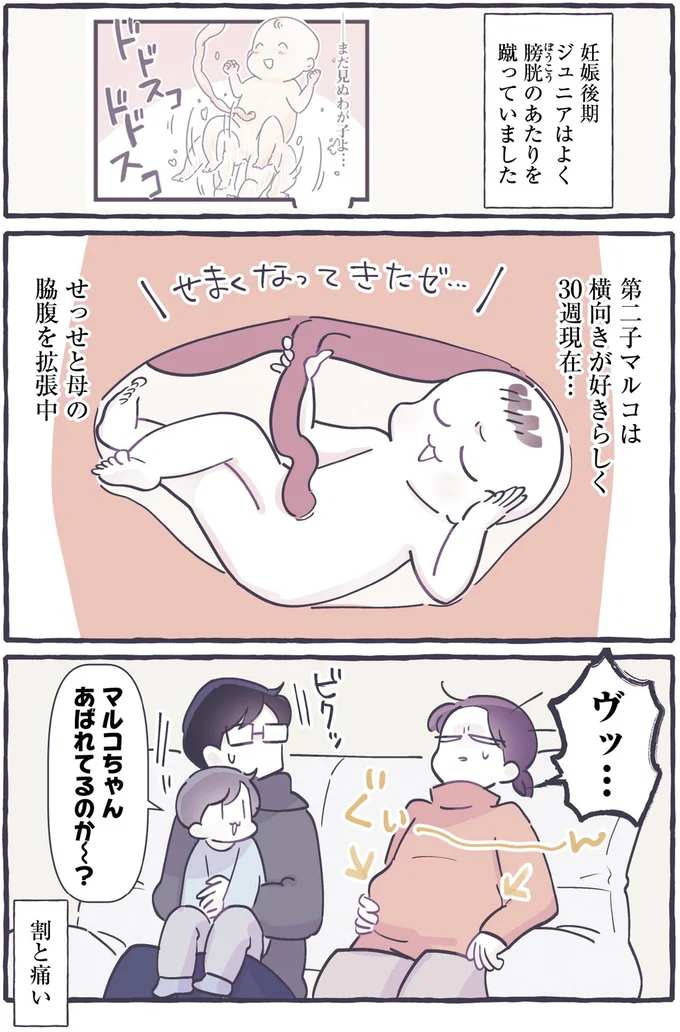 『るしこの子育て日記1～4』 641.webp