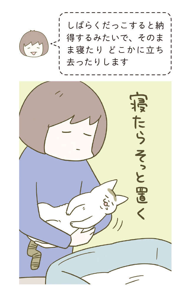 必ず愛猫を1日30分だっこ。どんなに仕事が忙しくても...なぜ？／うちの猫がまた変なことしてる。5 12.jpg