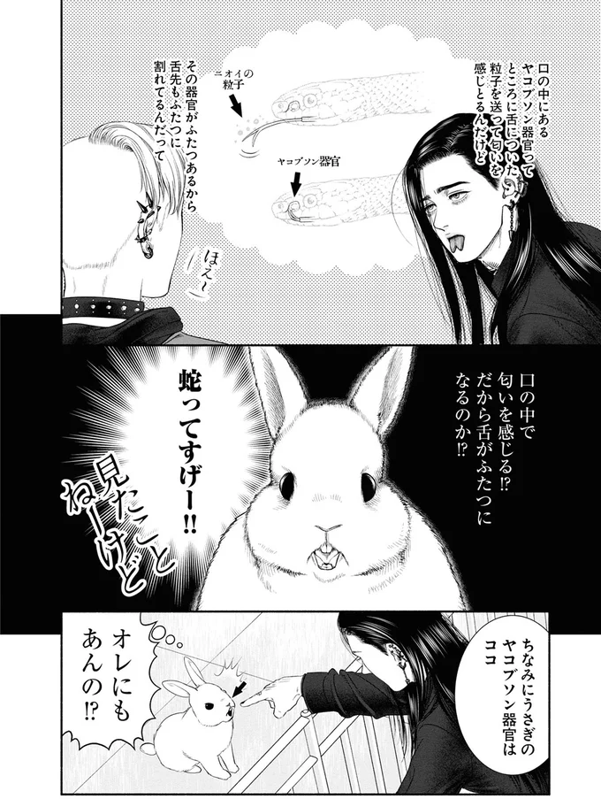 うさぎカフェに現れた怪しい二人組。見かけによらず、意外と物知りで...え？／見るからに怪しい二人 1 05-04.png