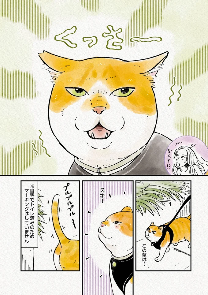 『元野良猫チャチャ 本日も見まわり中』 04-03.png