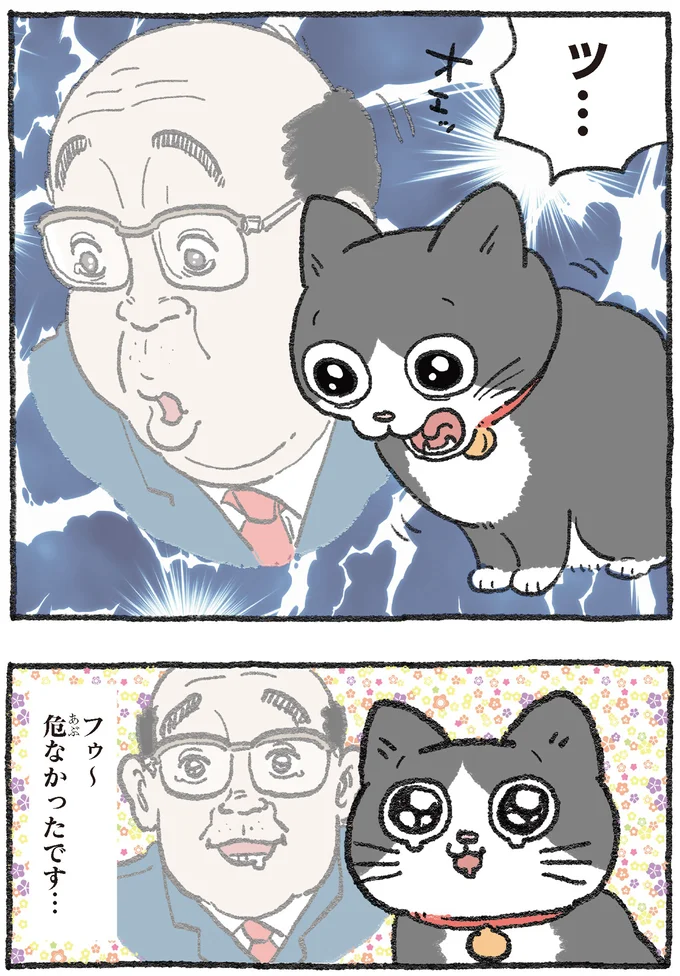 『ねこに転生したおじさん1〜3』 94.webp