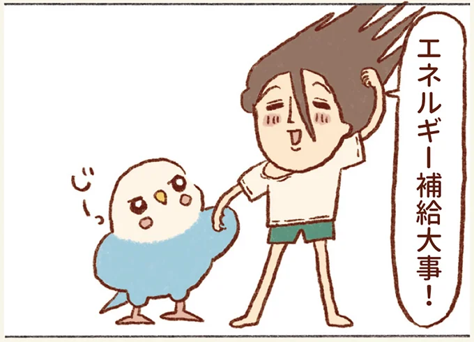 『プジェ日記！ 幸せを運ぶインコのみっちゃん』 94.webp