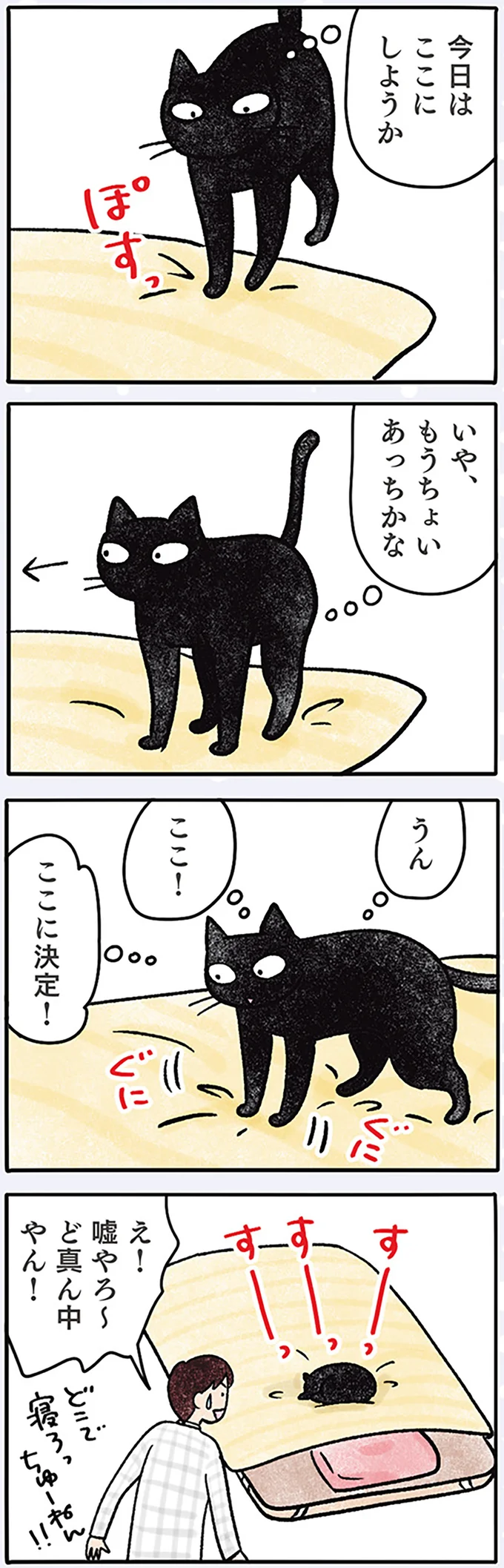 「ええの怒って？」飼い主にどれだけモフられても我慢してきた黒猫の発見／黒猫ナノとキジシロ猫きなこ 05-01.png