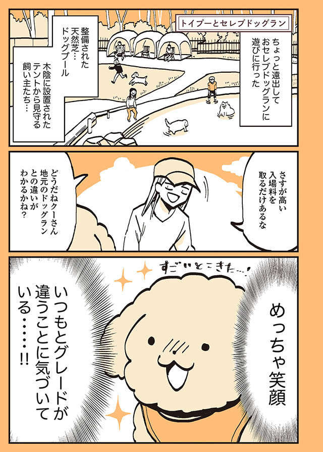 愛犬とセレブなドッグランへ。はしゃぎすぎた結果、30分後には...／うちのトイプーがアイドルすぎる。 toipu29_01.jpg