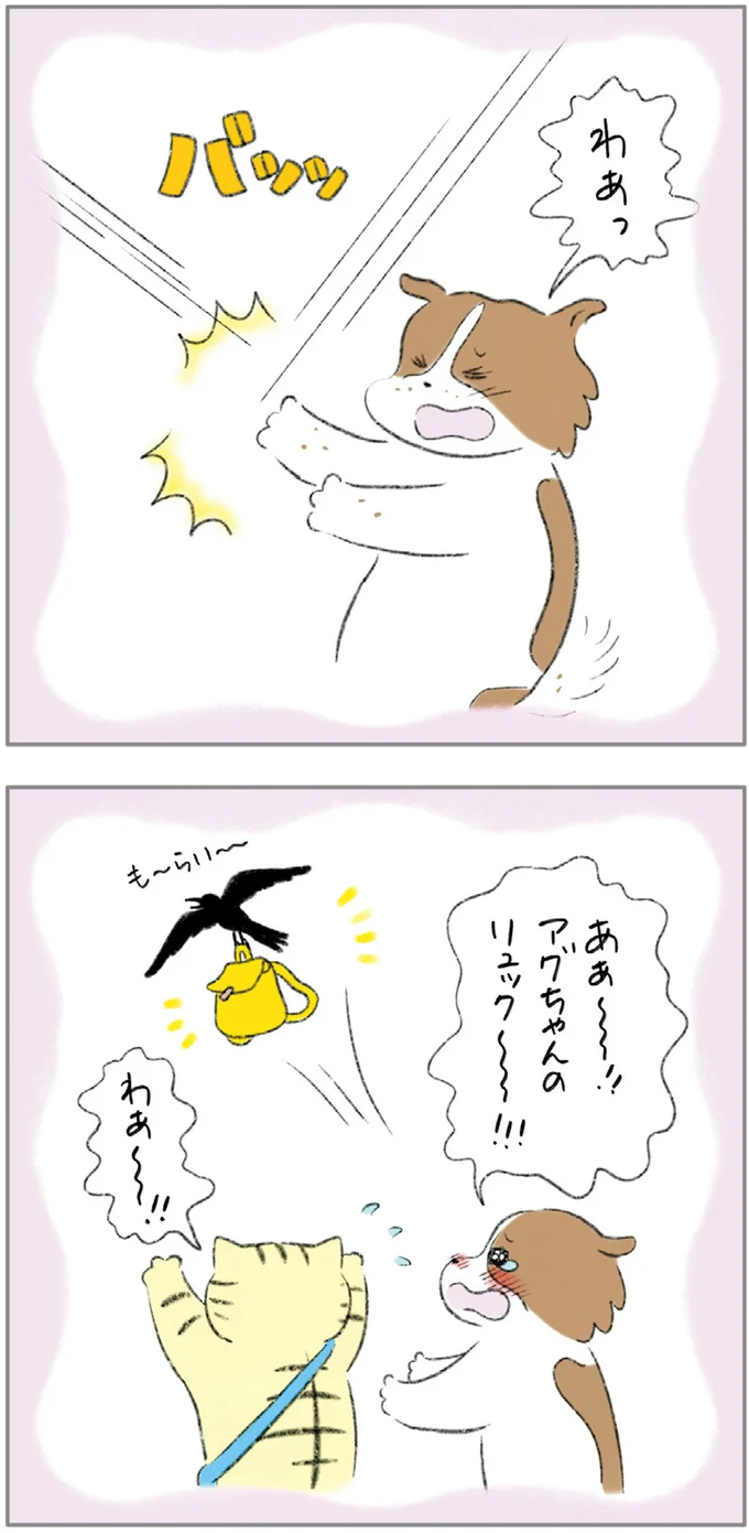 『ターとアグのしあわせ日和 元ノラ猫と元保護犬、ふたりは親友』 01-08.png