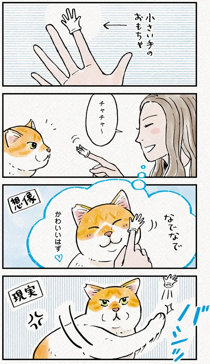 きっとかわいいはず。そう思って猫におもちゃを見せたら...あああ／元野良猫チャチャ 本日も見まわり中 05-01.png