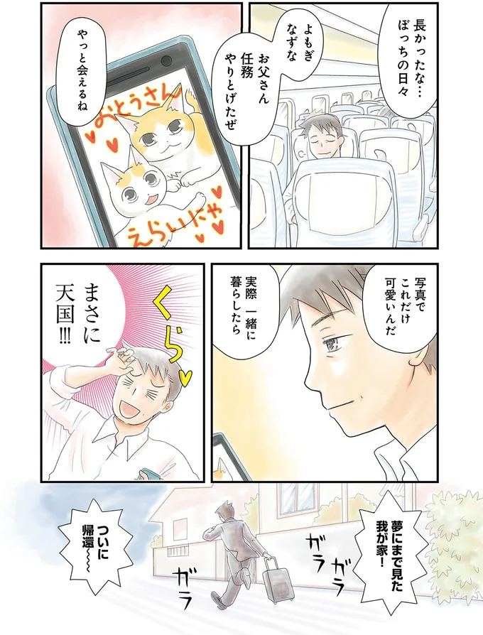 『飼い猫がなつきません』 01-05.png